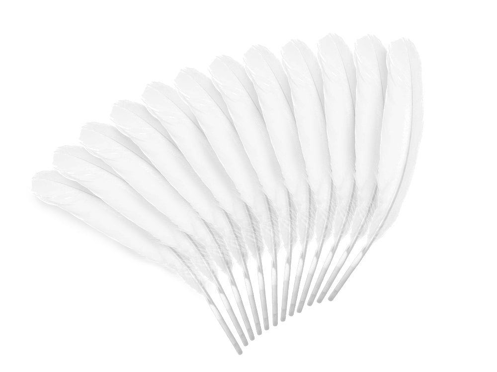 Feather Craft: 8" Goose Feathers x12 H) White