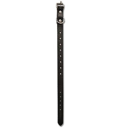 DOG COLLAR - 13"x 5/8" BLACK