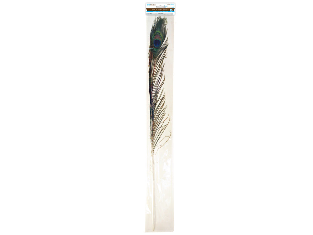Feather Craft: 31"-35" Real Peacock Feather