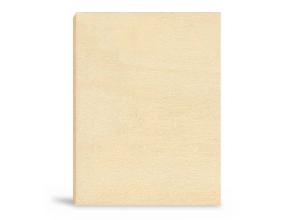 Wood Craft: 9"x11.6" DIY Art Panel Natural 0.7" Deep