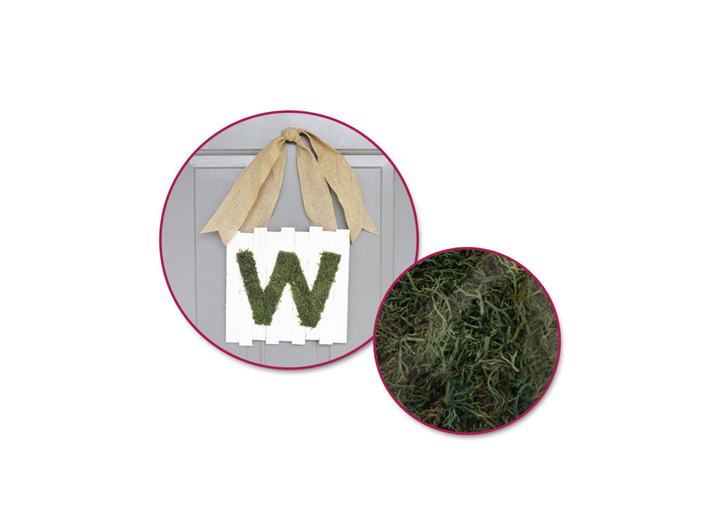 Craft Decor Dried Naturals: 50g Reindeer Moss Green