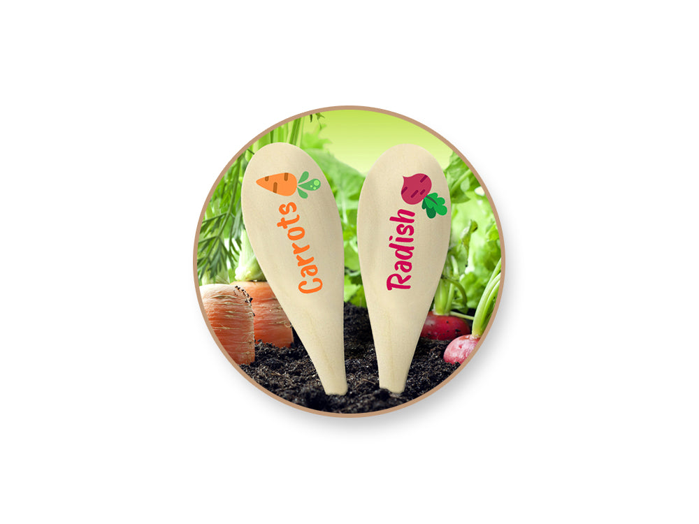 Craftwood: 6"x1.5" Spoon 3pc Natural