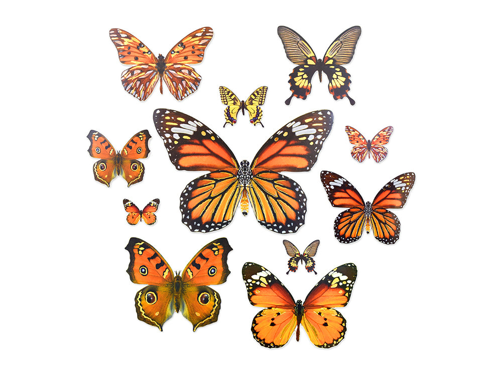 Paper Craft Embellishment: Butterfly Die Cuts w/Foil Accents x33 B) Orange