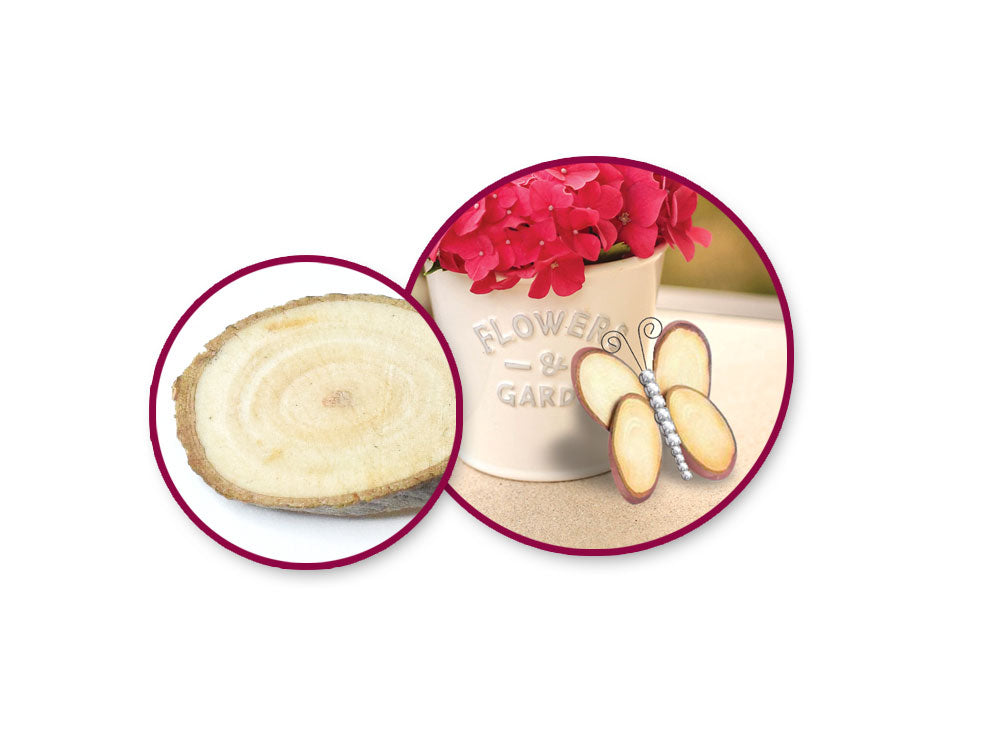 Craft Decor Dried Naturals: Oval Wood Slices Mini Asst 75g B) Natural