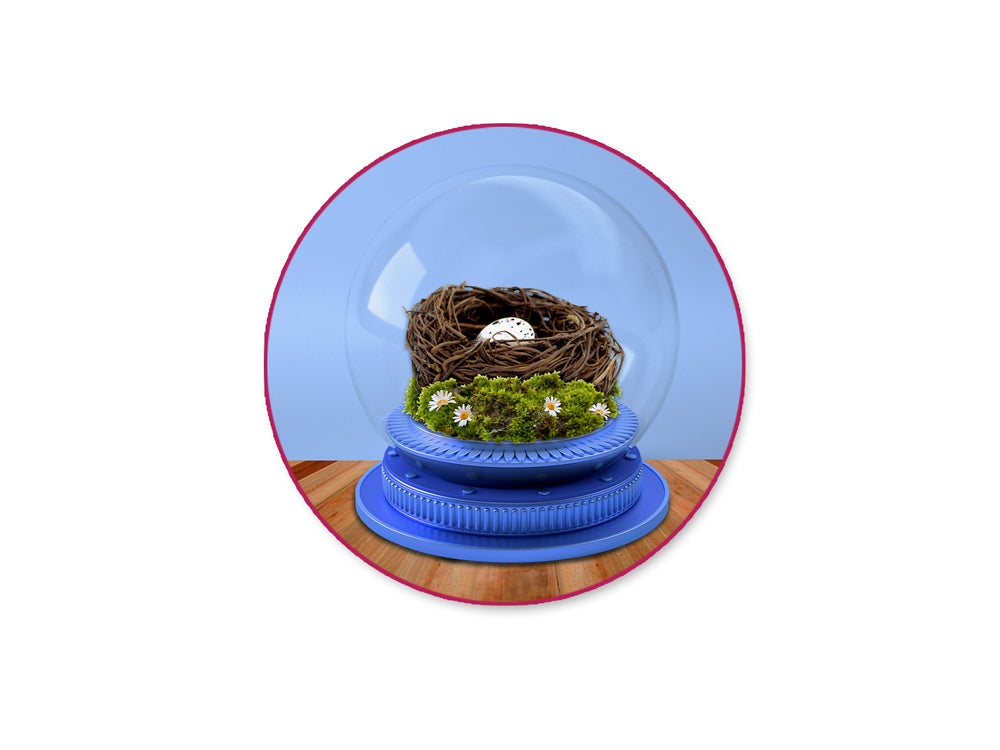 Craft Decor: 6cm Natural Twig Nest 2ct w/Speckled Egg