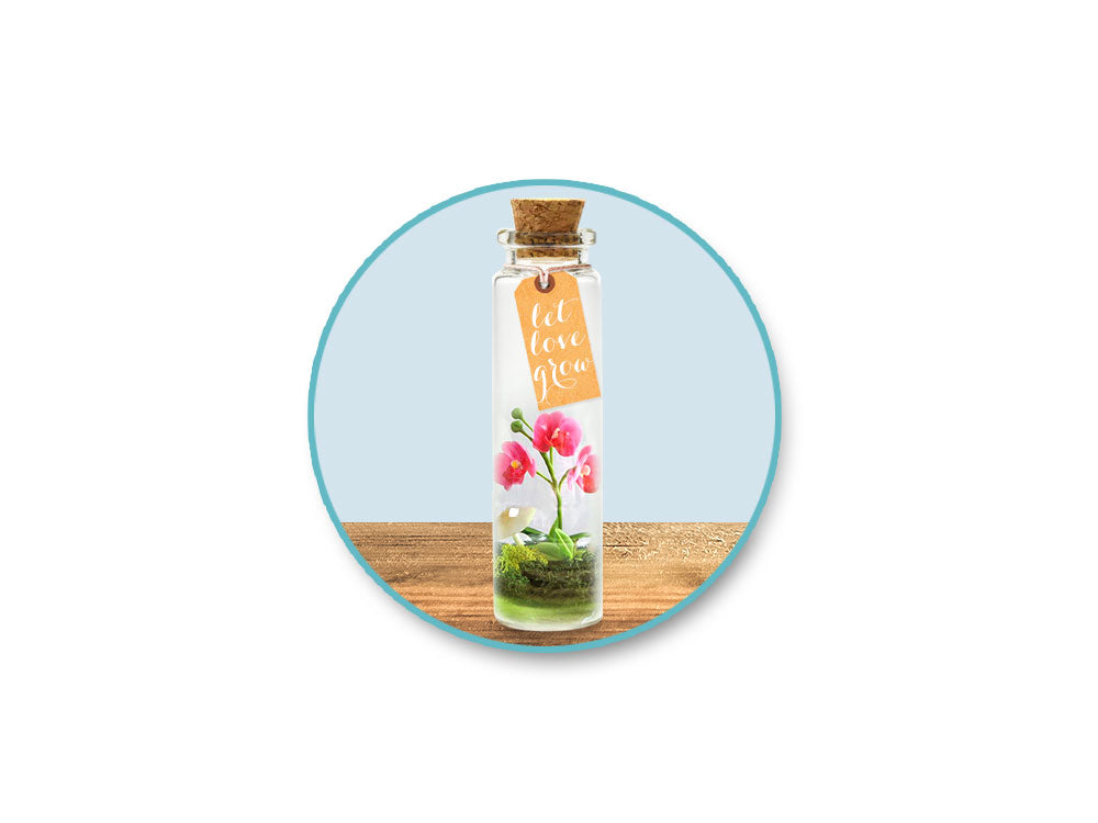 Glass Bottles: Mini Containers w/Cork Lid x4 16ml