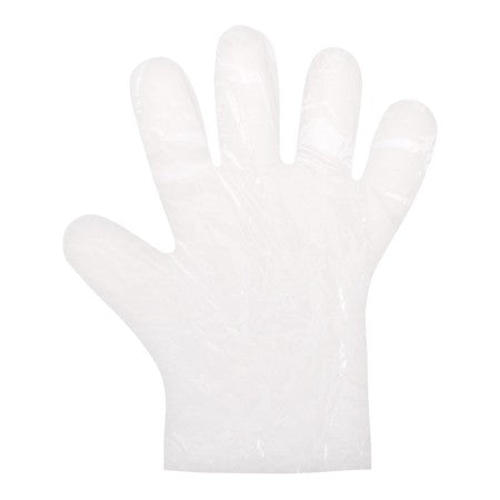 SANI-GUARD DISPOSABLE LDPE GLOVES L/XL 500/PK