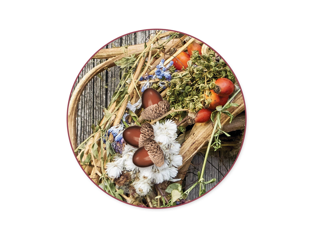 Craft Decor: 1" Acorn Pick 12pc