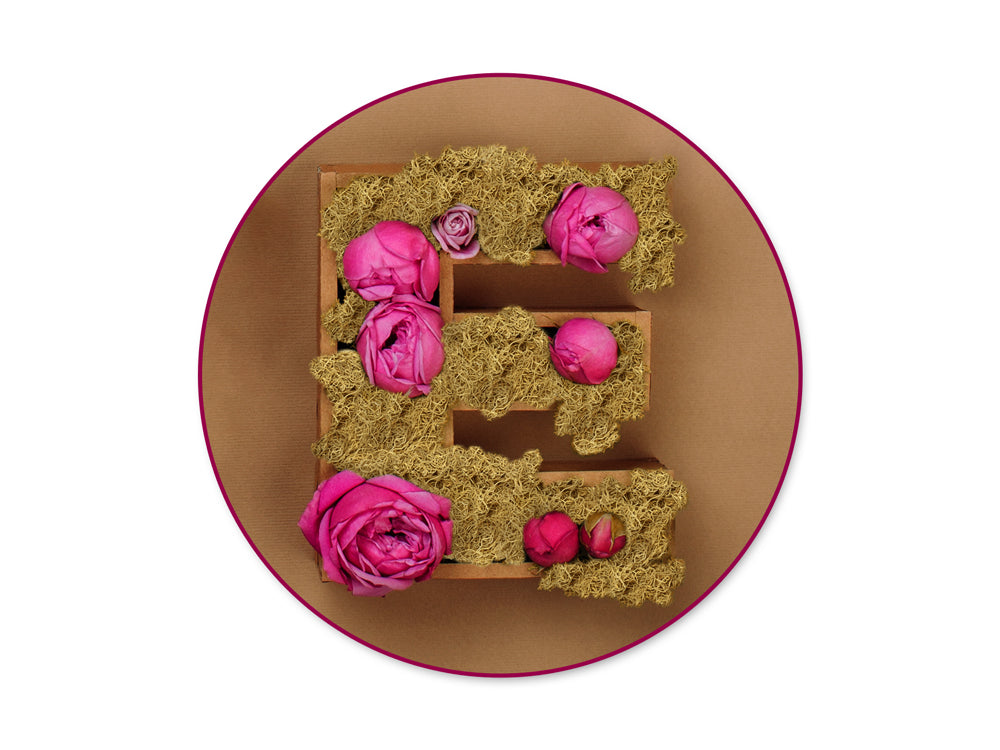 Craft Decor Dried Naturals: 1.76oz Micro-Strand Spanish Moss Natural