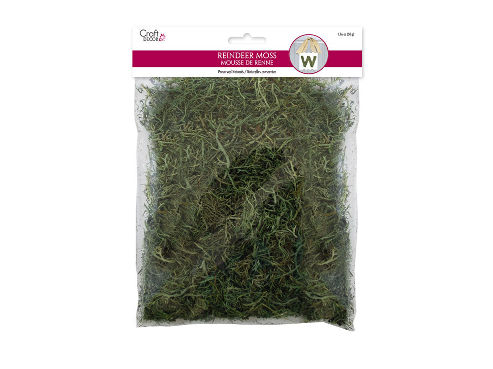 Craft Decor Dried Naturals: 50g Reindeer Moss Green