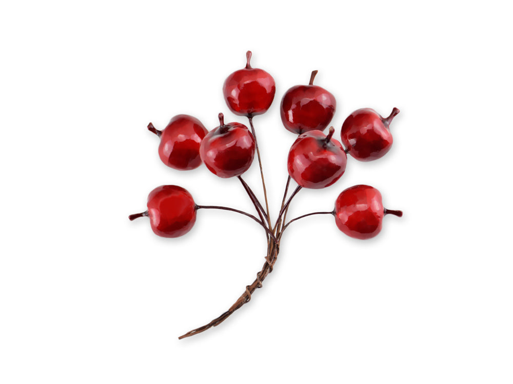 Craft Decor: 2.5cm Mini Apple Picks 8pc Foam Glossy A) Red Delicious