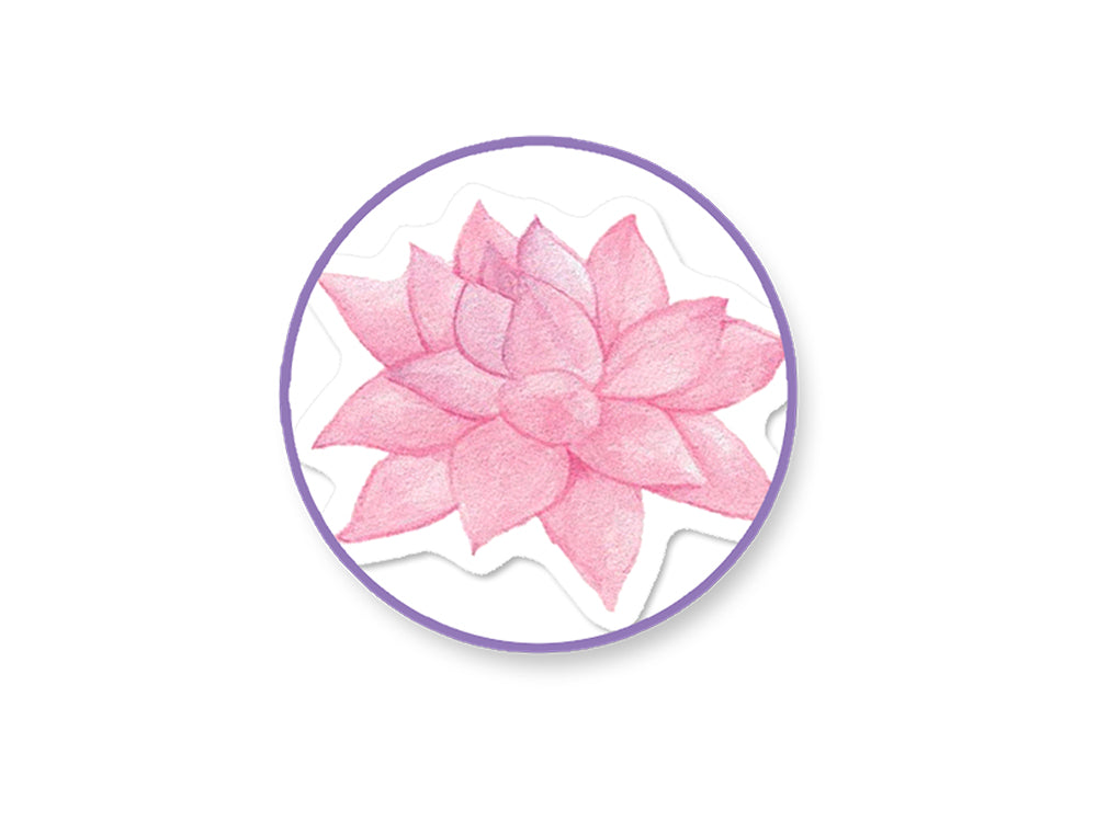 Paper Craft Sticker: 5"x12" 2-Sticker Themed Set F) Succulents (Copy)