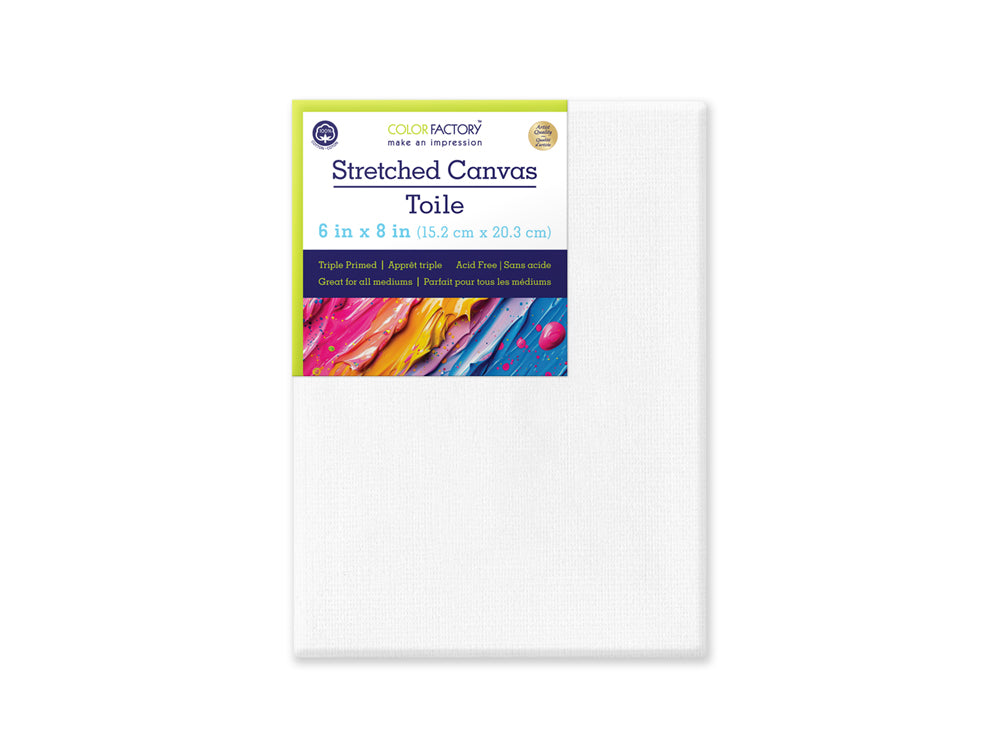 Stretch Artist Canvas: Rect. 6"x8" Primed Back-Stapled