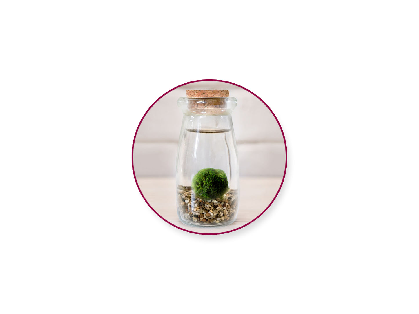 Craft Décor: 4.7x10.2cm DIY Clear Glass Bottle w/Cork Stopper