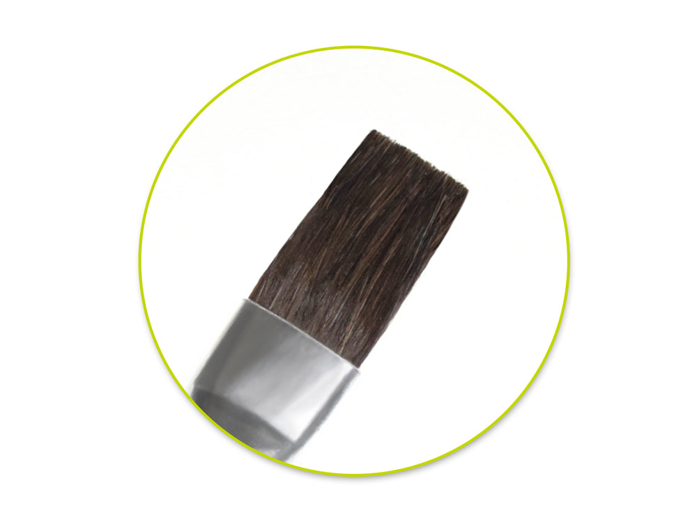 Artist Brush Set: Natural Bristle Multi-Pack x6 Watercolor Wood Handle