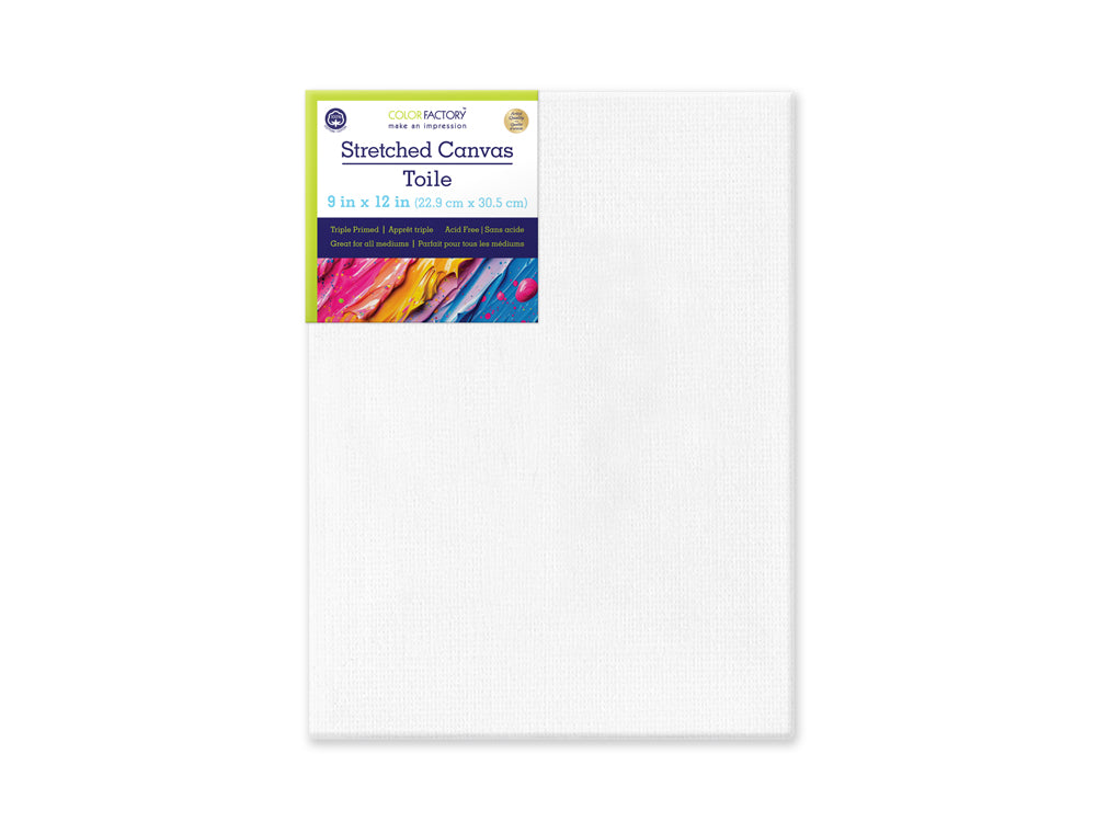 Stretch Artist Canvas: Rect. 9"x12" Primed Back-Stapled