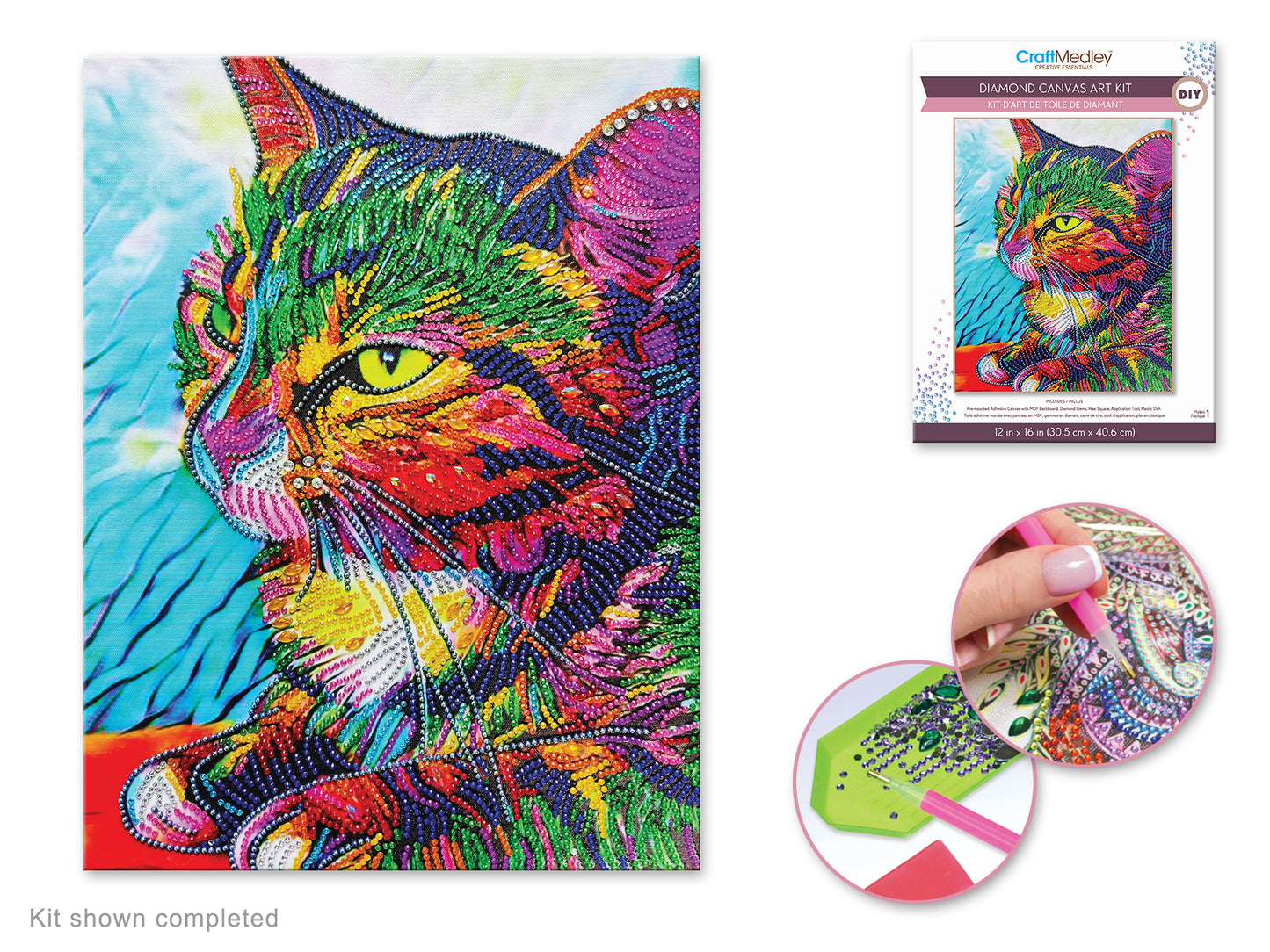 Craft Medley Kit: Diamond Painting Art Kit 12"x16" w/Gems+Tool+Tray M) Cat 2