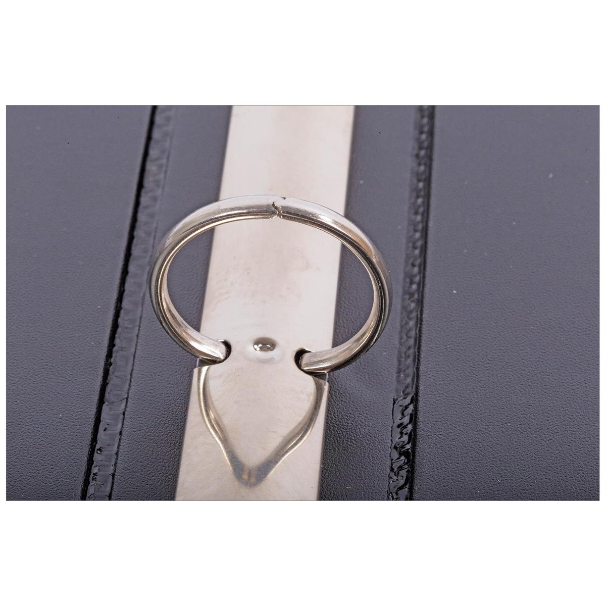 O.WKs.3-ring 1" Presentation Binder White, Black, 2 asst'd cols, insert