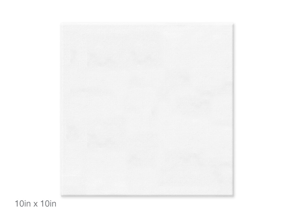 Stretch Artist Canvas: Square 10"x10" Primed Back-Stapled