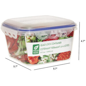 Container Quad Lock Square
