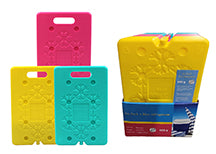 Ice Pack with Handle