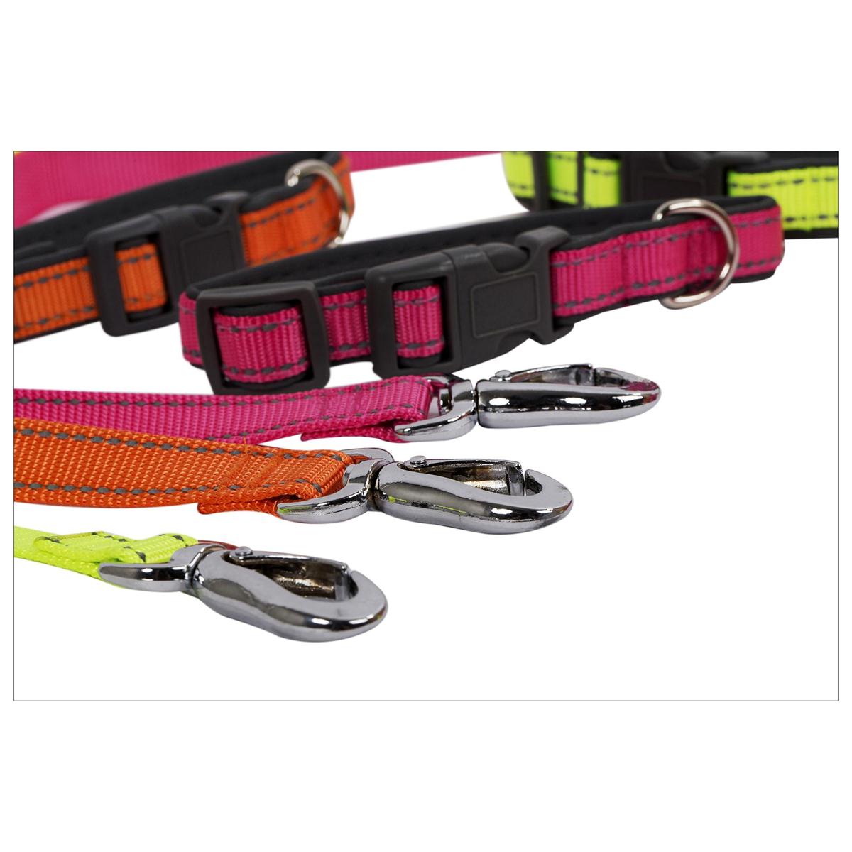 Reflective Dog Collar & Leash Set - 1pc - Adjustable (13"-20")