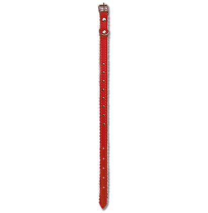 CAT COLLAR - 12" x 3/8" RED