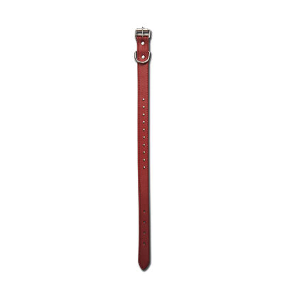 DOG COLLAR - 19"x 1" RED