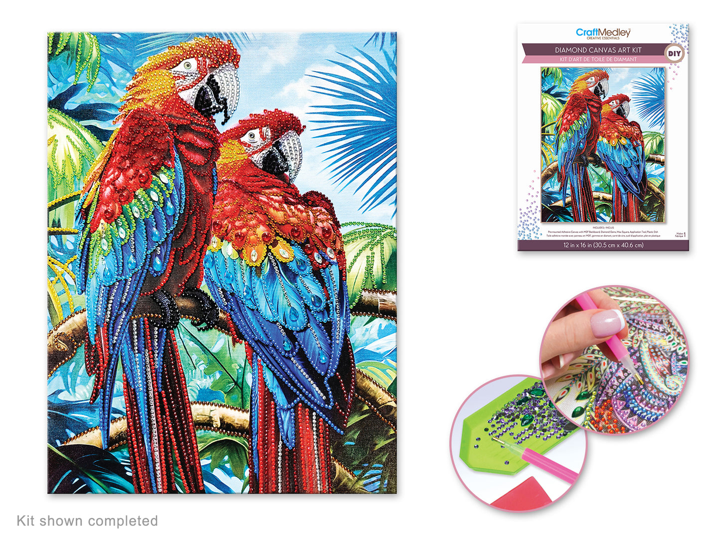 Craft Medley Kit: Diamond Painting Art Kit 12"x16" w/Gems+Tool+Tray P) Parrots