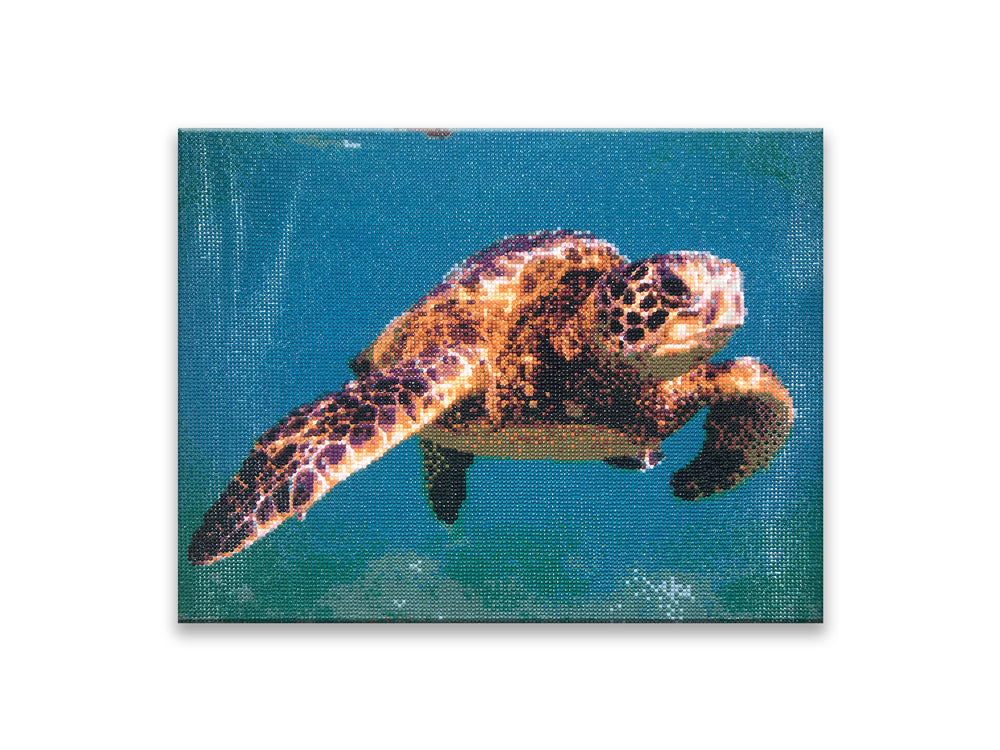 Craft Medley Kit: Diamond Painting Art Kit 15.8"x19.7" w/Gems+Tool+Tray H) Sea Turtle