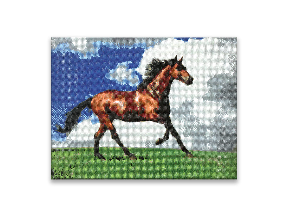 Craft Medley Kit: Diamond Painting Art Kit 15.8"x19.7" w/Gems+Tool+Tray J) Majestic Horse