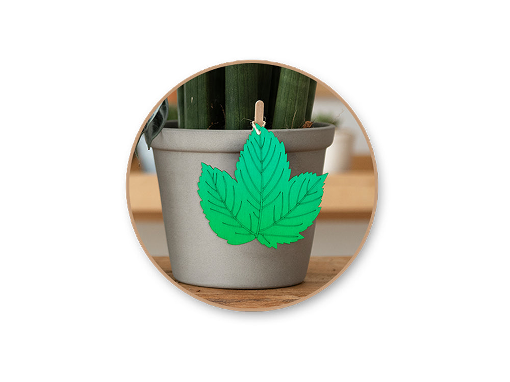 Wood Craft: 3.5" Laser-Etched Wood Shapes 6pc w/Jute F) Holland Ivy Leaf