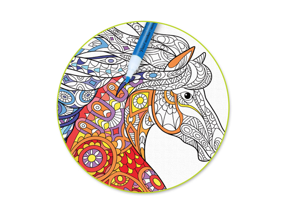 Color Factory: 9.8"x11.8" Canvas Pad w/Design Outlines 10Sheet Asst A) Animal Kingdom