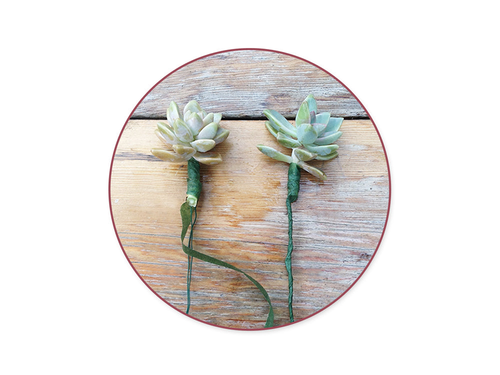 Floral Tape Stem Wrap: 1/2" x 20yds A) Green