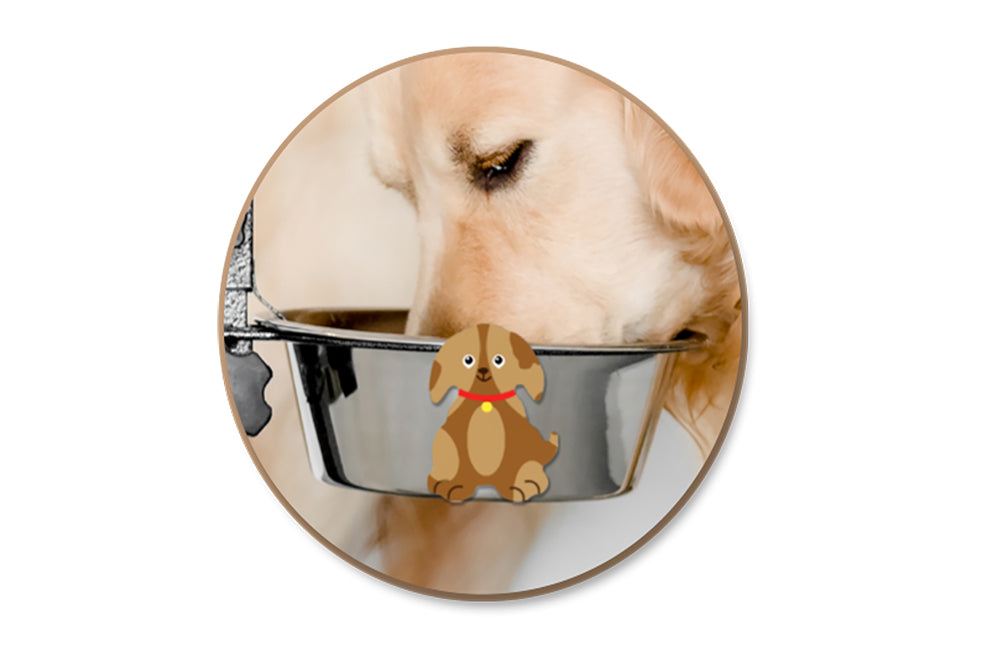 Wood Craft: 8cm Wood Shapes x12 M) Dog