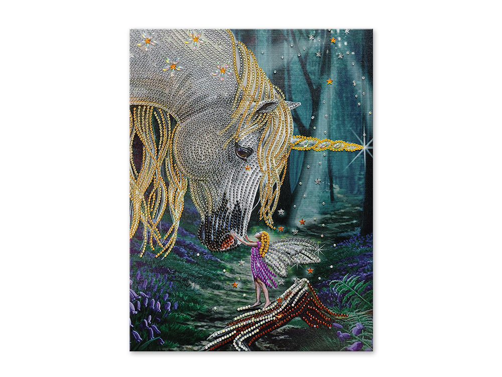 Craft Medley Kit: Diamond Painting Art Kit 12"x16" w/Gems+Tool+Tray R) Fantasy Friends