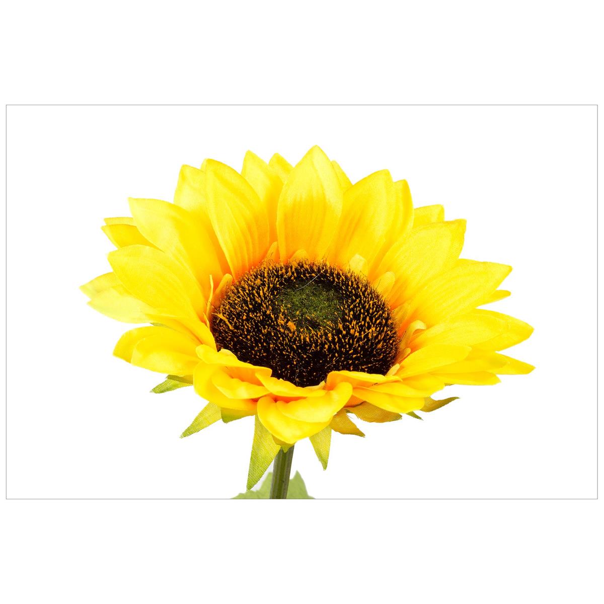 Country Garden 26.5"L Single Stem Artificial Sunflower, label