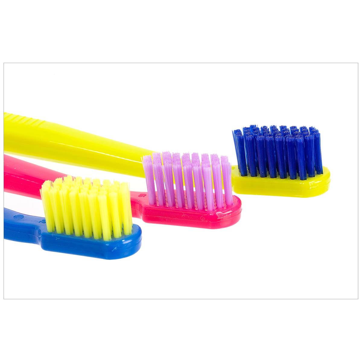 Bodico 3pc Brights Adult Toothbrush 2-asst, 18cm, bc,