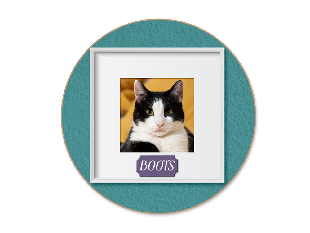 Wood Craft: 8cm Wood Shapes x36 in Display Box (6eax6stl) D) Geo Shapes