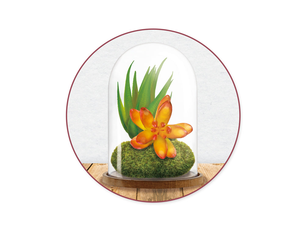 Craft Décor: 8cmx5.3cm DIY Clear Plastic Dome w/Wood Base