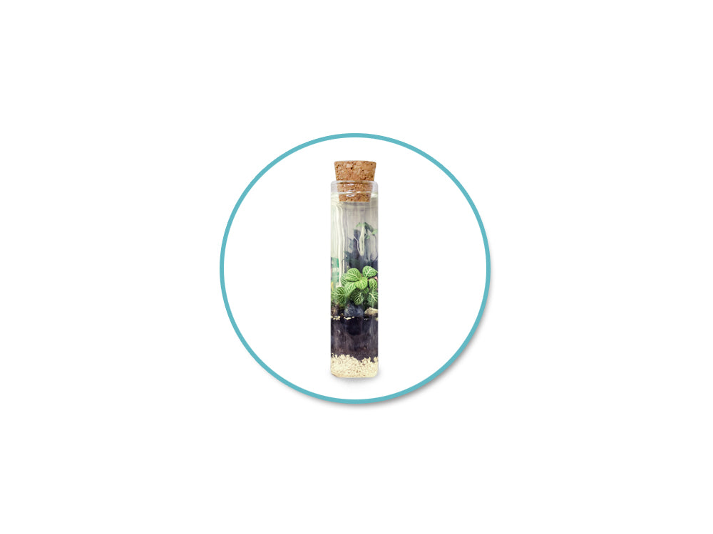 Glass Vials: 12mmx55mm Mini w/Cork Lid x7