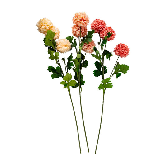 Country Garden 3 Heads Allium Flower Spray 3 Asst. CHT