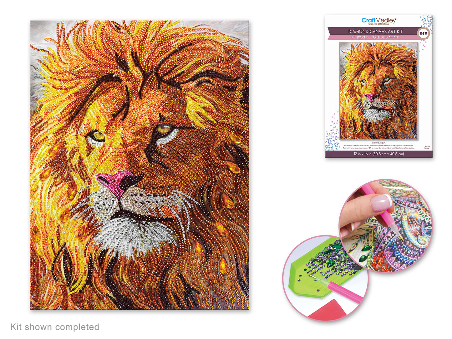 Craft Medley Kit: Diamond Painting Art Kit 12"x16" w/Gems+Tool+Tray Q) Lion