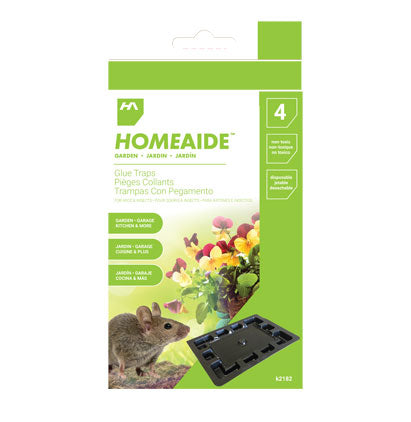 GLUE TRAPS - 4 PCS.