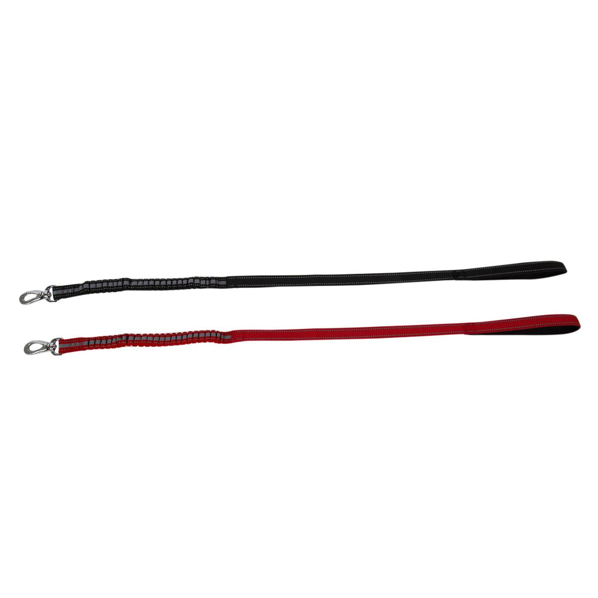PAWS Anti-Shock Dog leash 38'  , 2/s, tie-on-card, (HZ)