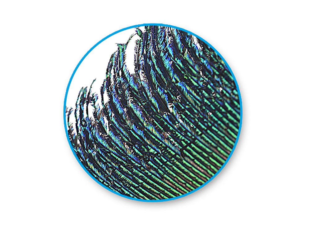 Feather Craft: 12"-14" Metallic Luster 3/pk