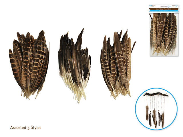 Feather Craft: 6"-8" Au Naturel 8g Assorted 3 styles of 16 Feathers