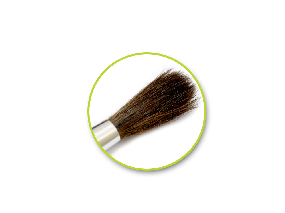 Artist Brush Set: #2-#12 Natural Bristle Watercolor x6 Wood Handle