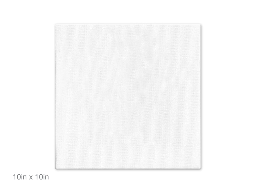 Canvas Panels Primed: 10"x10" Artist Quality