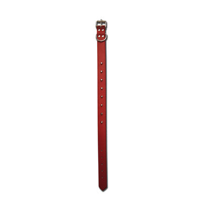 DOG COLLAR - 24"x1-1/8" RED